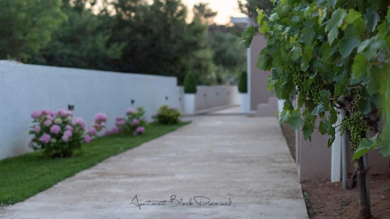 Apartment Black Diamond Ražanac Екстериор снимка